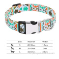 Collier de chien de chiot sublimation avec matériel en acier inoxydable